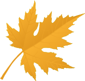 picture of a small yellow leaf